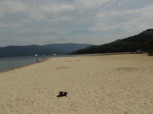 DSCN8538　海水浴場